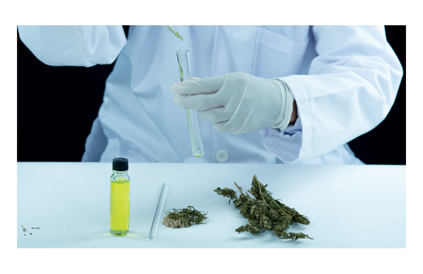 Ein E-Liquid mit höherer CBD-Konzentration erhalten