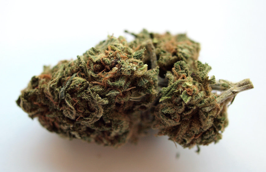 Staatsrat spricht sich für CBD aus