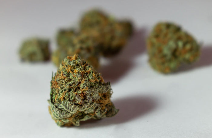 Wie wählt man qualitativ hochwertige CBD-Blüten aus?