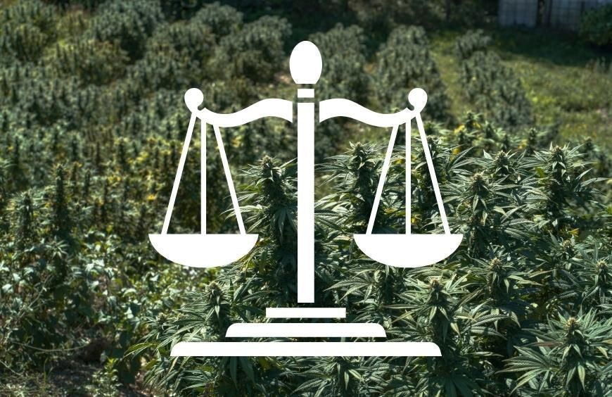 CBD in den wichtigsten Ländern: legal oder nicht legal?