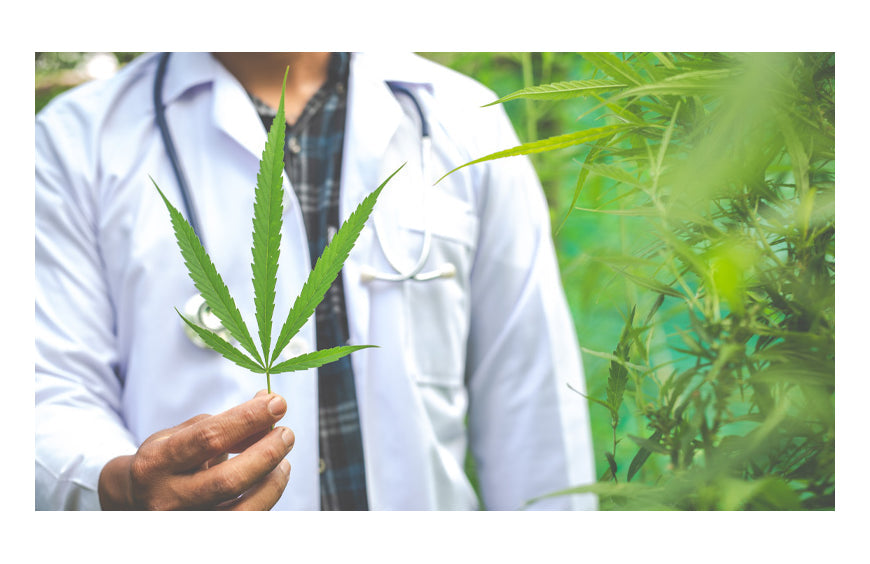 CBD und Gesundheit: Gibt es Kontraindikationen?