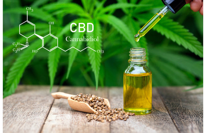 Wie arbeitet man in der CBD?