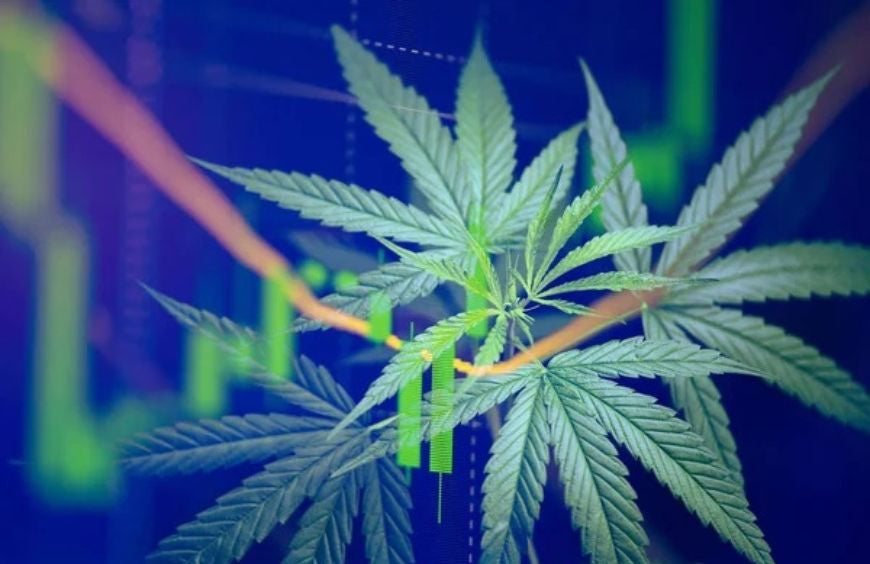 5 gute Gründe, mit CBD zu beginnen