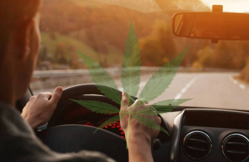 Kann man nach der Einnahme von CBD Auto fahren?