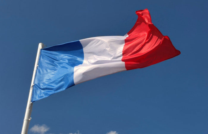 Präsidentschaftswahlen 2022 und Cannabis: Was denken die Kandidaten?