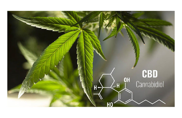 Wie funktionieren konduktive CBD Vaporizer und was sind ihre Vorteile?