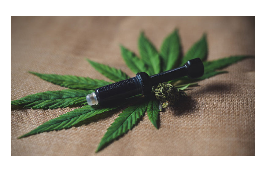 Die Kosten für CBD von der Sozialversicherung erstattet bekommen - ein Traum, der noch in weiter Ferne liegt?