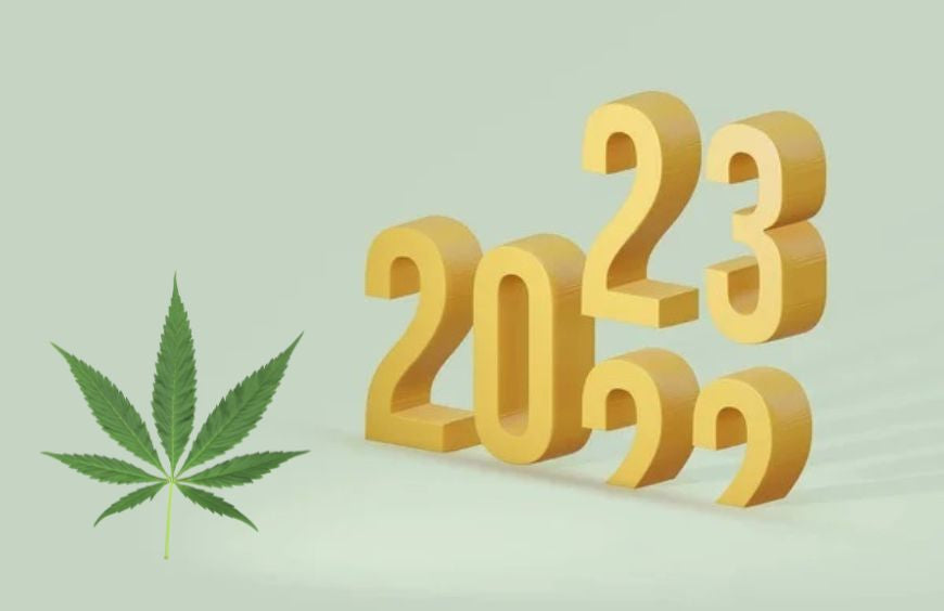 Was wäre, wenn wir die Lösung hätten, die Ihnen dabei hilft, Ihre guten Vorsätze einzuhalten?