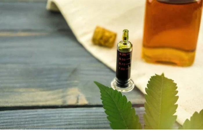 Warum sollte man Vollspektrumprodukte wählen?