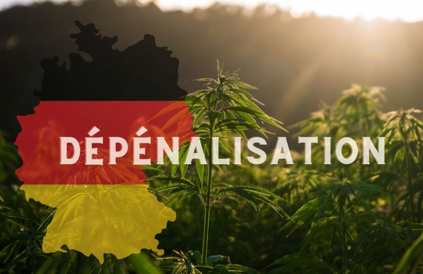 Deutschland macht einen weiteren Schritt in Richtung Cannabislegalisierung
