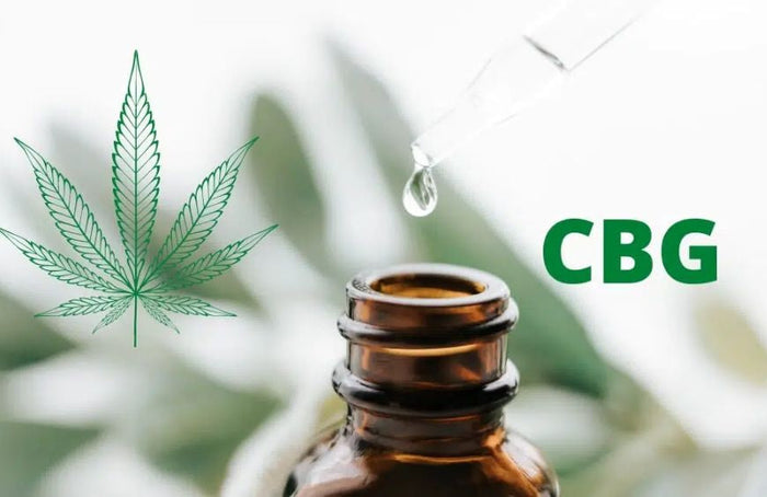 Hier sind einige Tipps für die richtige Wahl des CBG-Öls