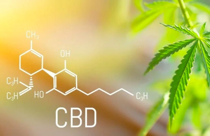 Mit CBD den Lebensstil verbessern