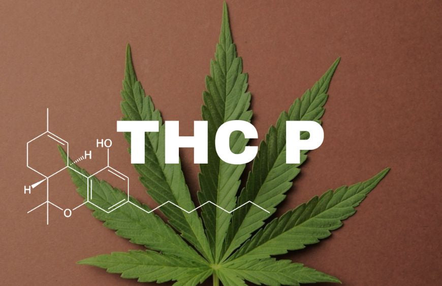 Was ist THCP: Nutzen, Risiken...