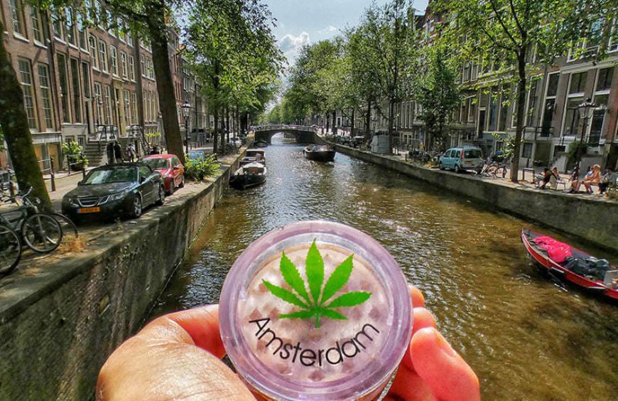Was passiert rund um die Cannabisgesetzgebung in Amsterdam?