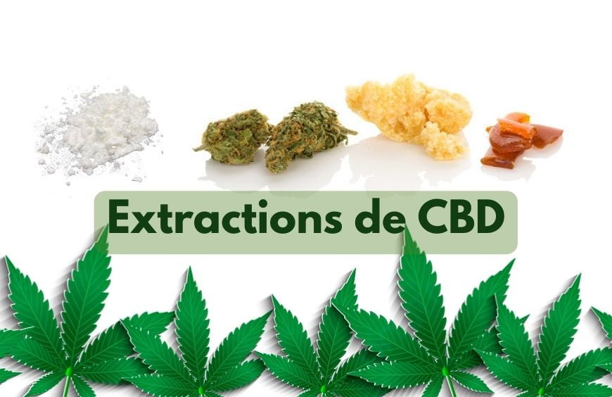 Wozu dienen CBD-Extraktionen?