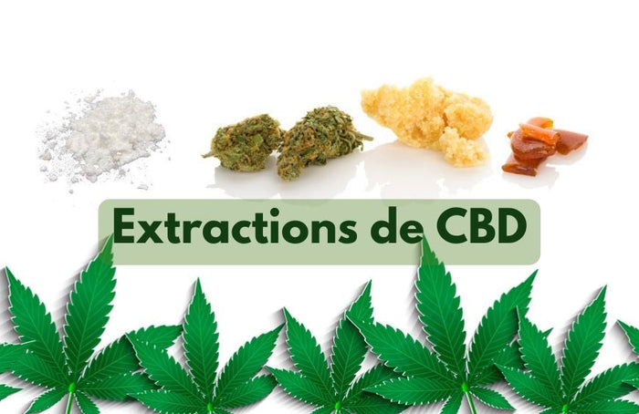 Wozu dienen CBD-Extraktionen?