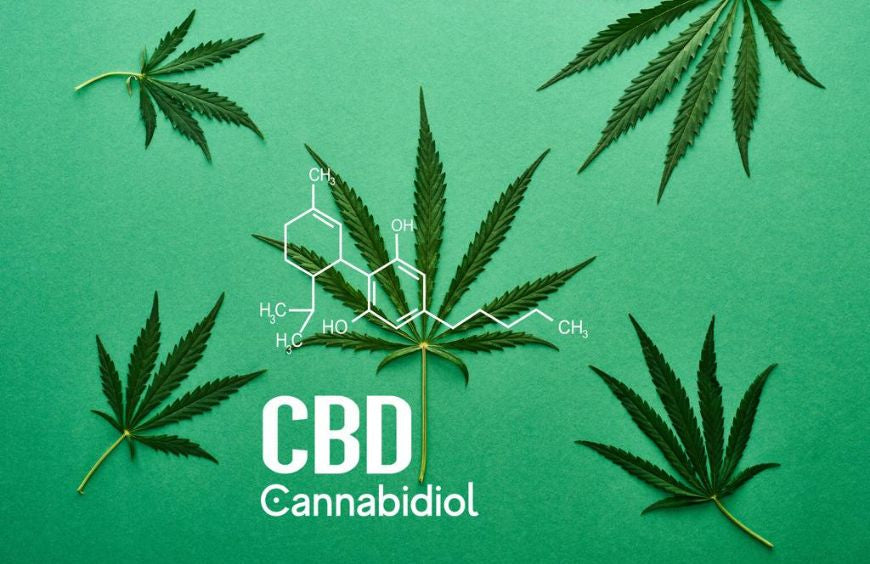 CBD im Rampenlicht: Verständnis für seine wachsende Attraktivität