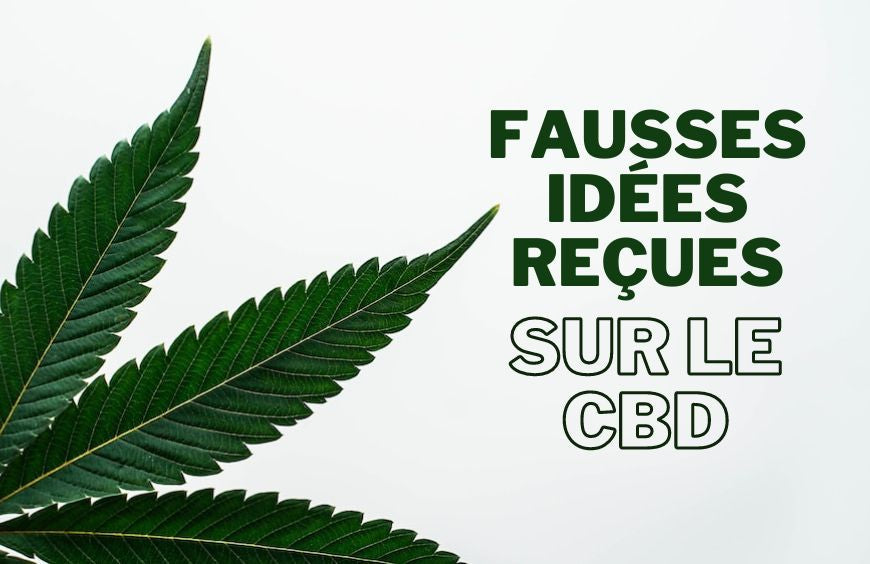 Diese Missverständnisse über CBD
