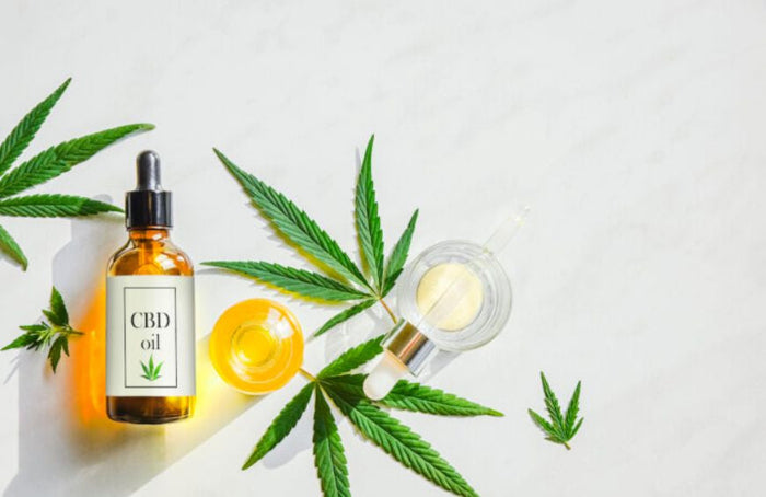 Full spectrum oder CBD-Isolat: Was soll man wählen?