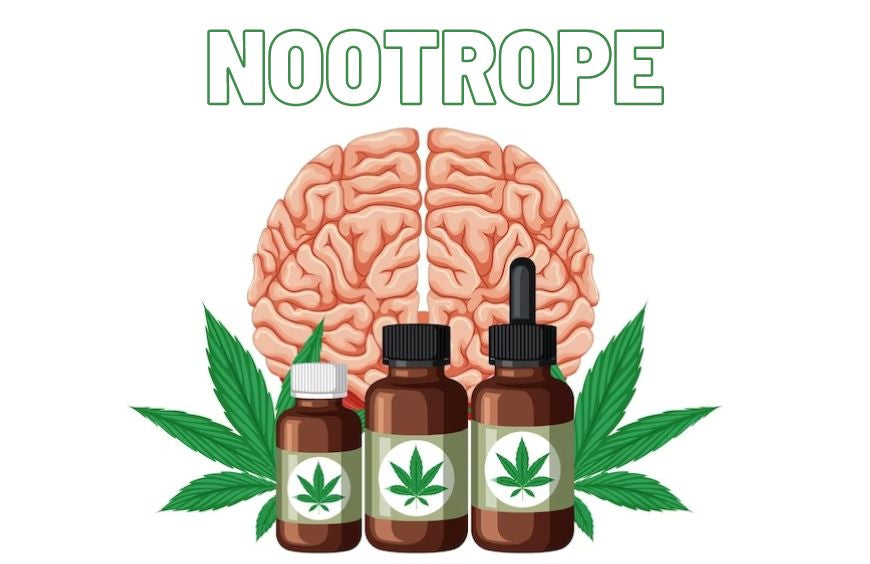 Ist CBD ein Nootropikum?