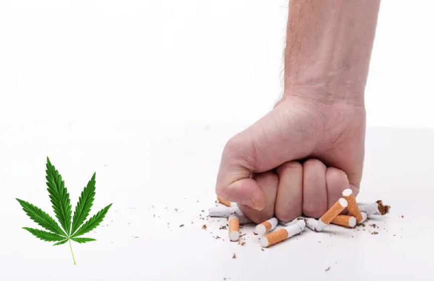 CBD: Laut neuer Studie eine Hilfe beim Aufhören mit dem Rauchen