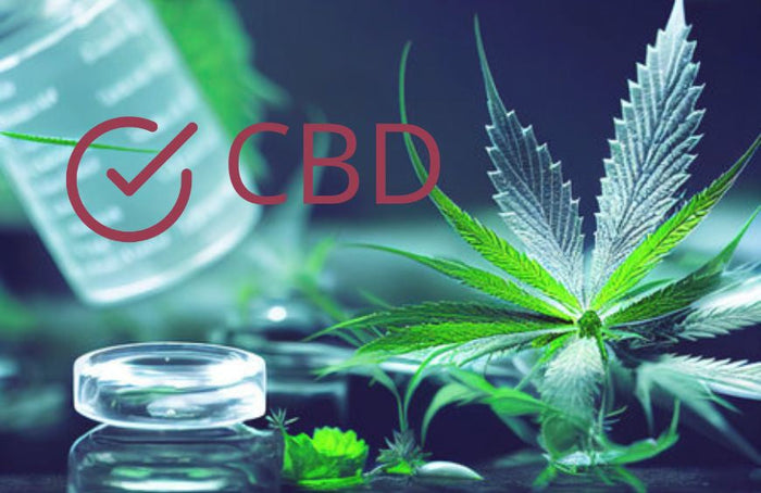 Welches CBD ist am wirksamsten?