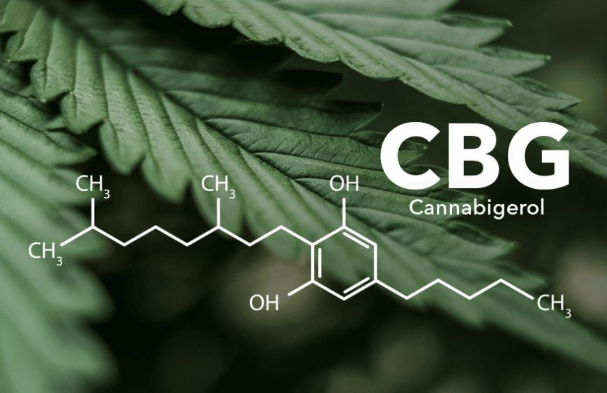 Können CBG und CBD auf unsere Psyche einwirken?