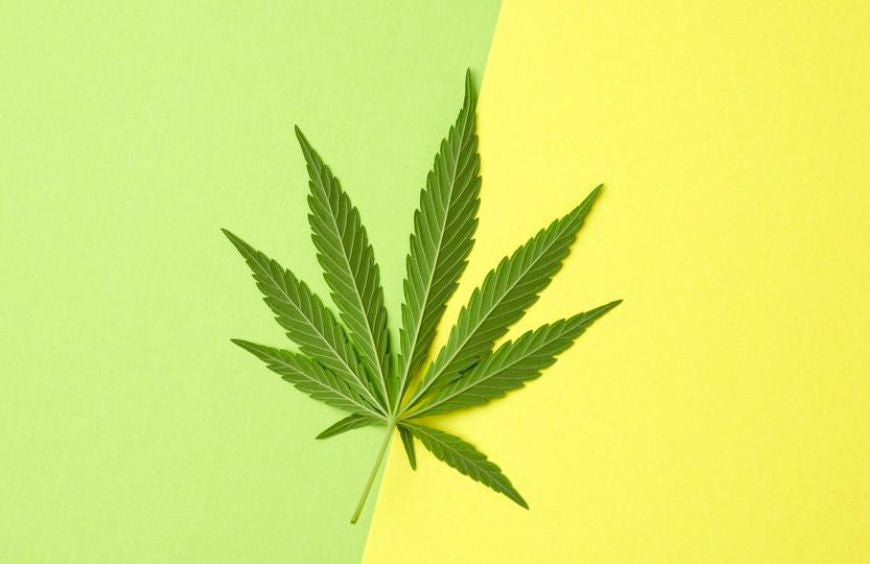 HHC und THC, was sind die Unterschiede?