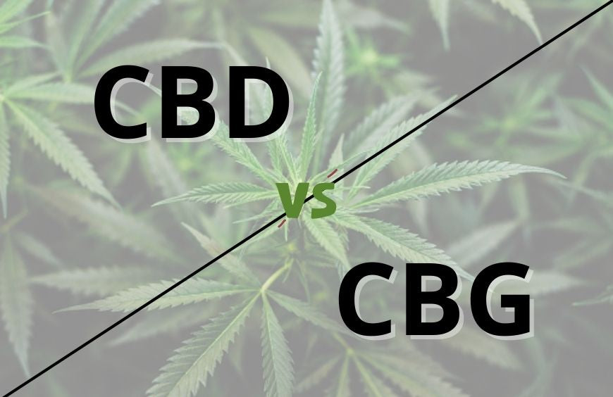CBD oder CBG: Was soll man wählen?