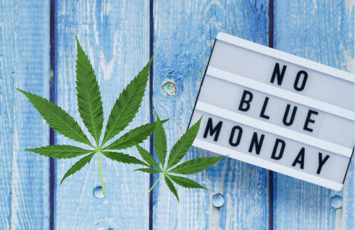 Wie überwindet man die Blue-Monday-Depression?