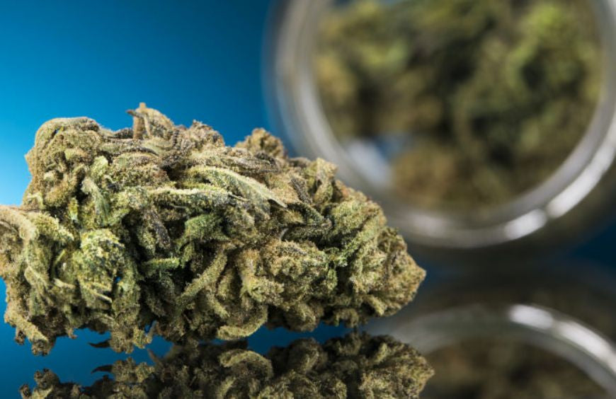 Sativa indica oder Hybrid, was sind die Unterschiede?