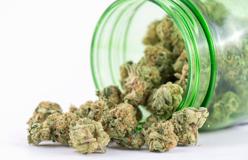 Welche ist die stärkste CBD-Blüte, die man 2025 rauchen kann?