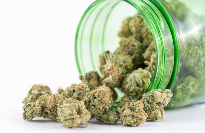 Welche ist die stärkste CBD-Blüte, die man 2025 rauchen kann?