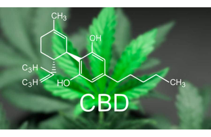 Welches CBD bei Schmerzen?