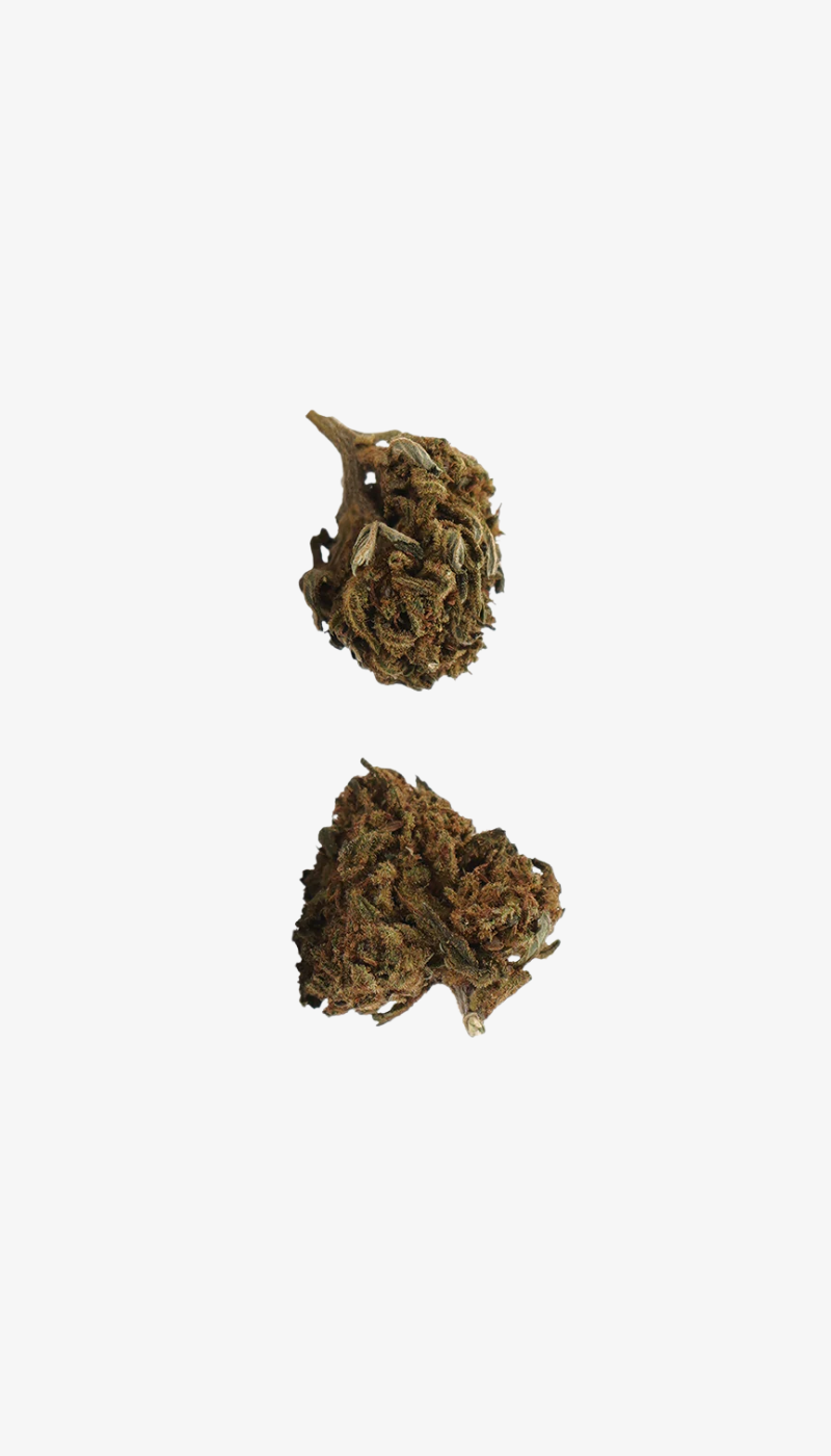 🎁 Hawaiian CBD Small Buds (100 % Rabatt)