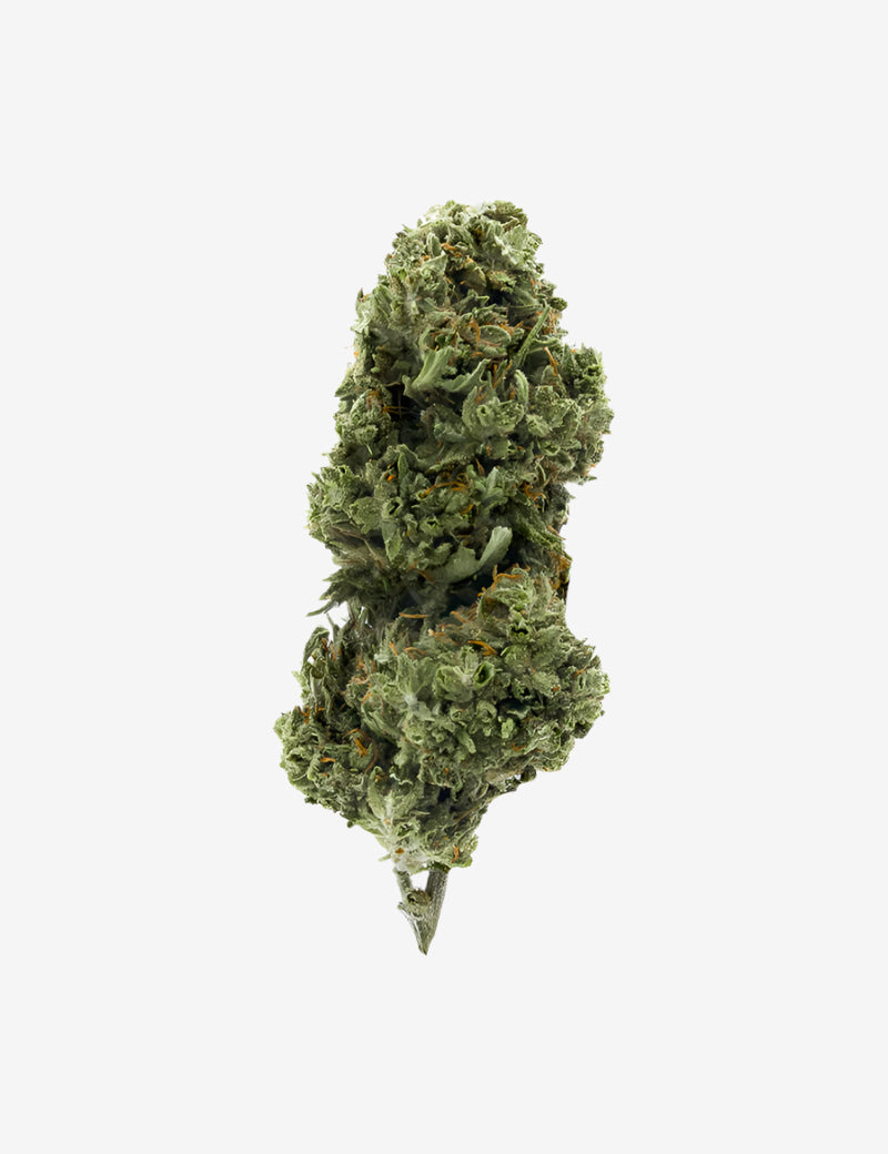 CBD-Biscotti