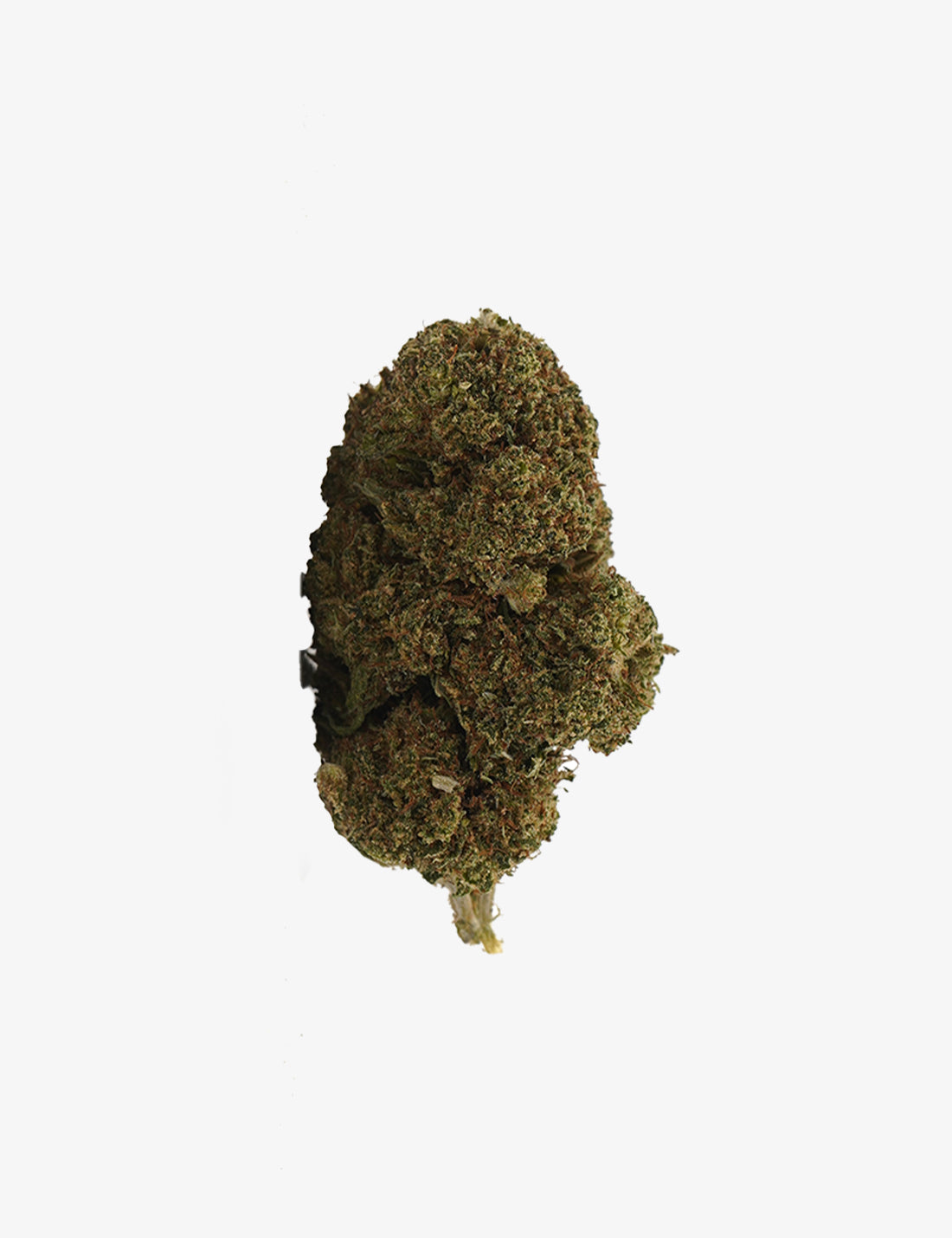 CBD-Cheesecake