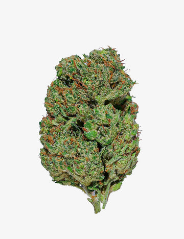 🎁 Gorilla Glue CBD (100 % Rabatt)