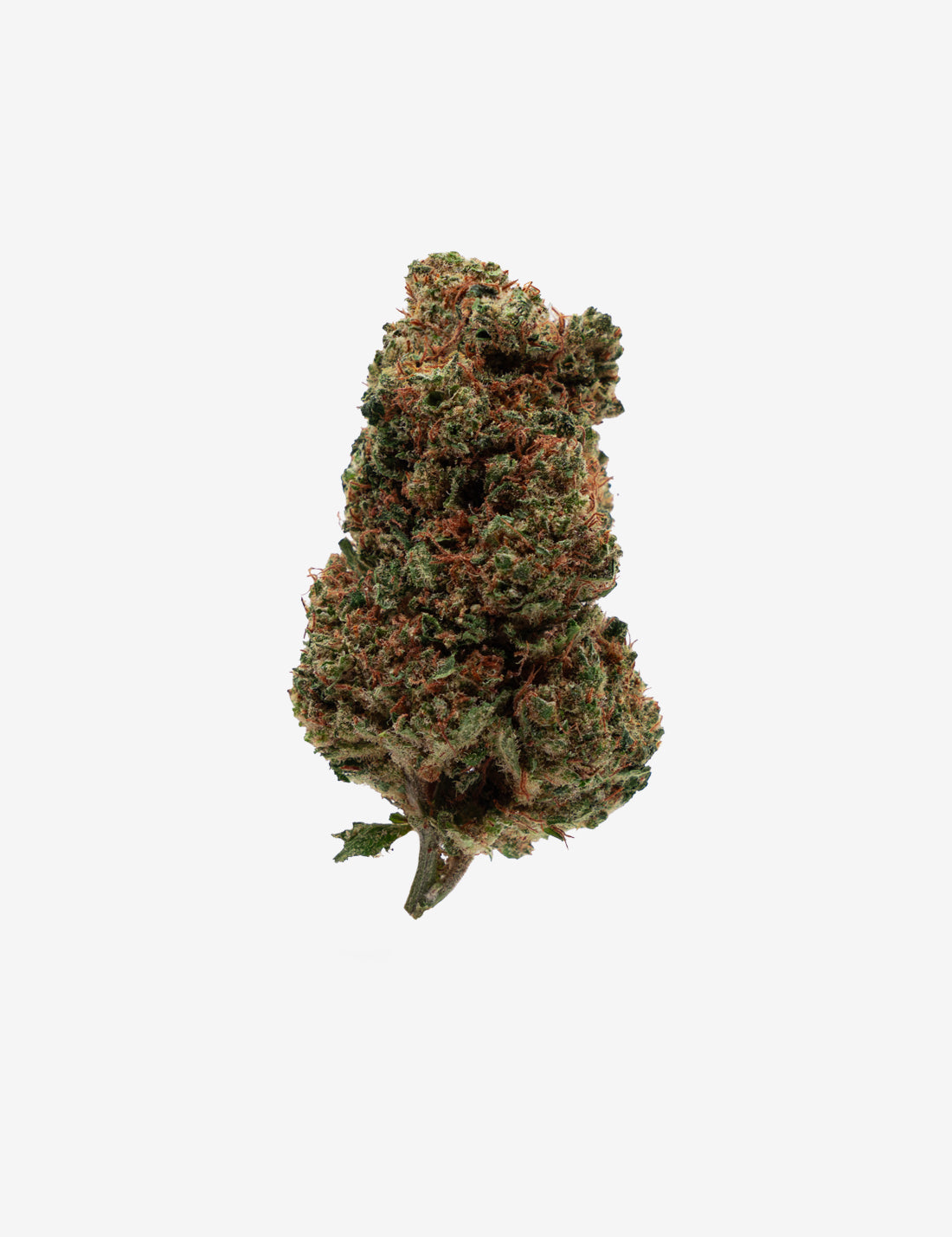 🎁 Orange Bud CBD (100 % Rabatt)