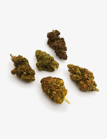 🎁 Pack Découverte Fleurs CBD (100% off)