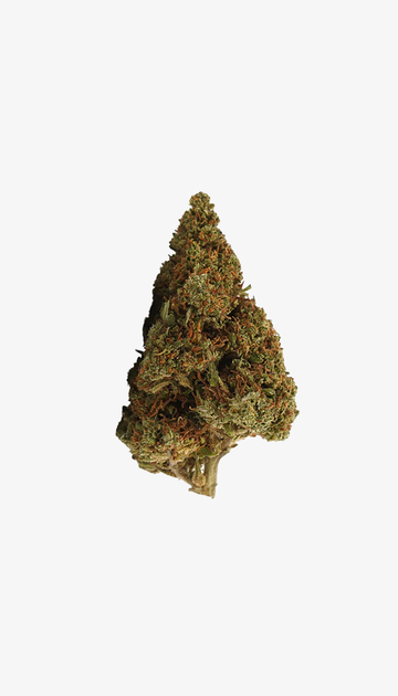 🎁 Orange Bud CBD Small Buds (100 % Rabatt)